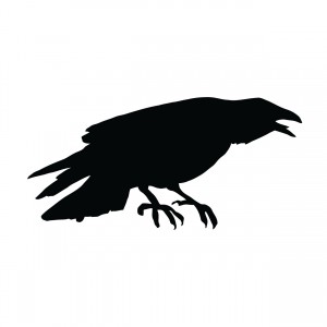 Crow Athletics Storefront 2022