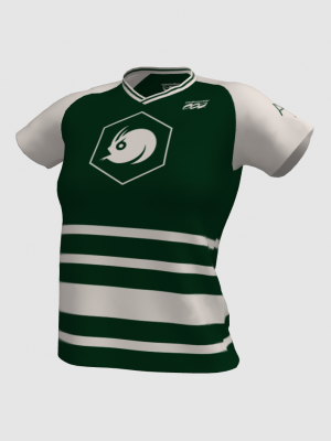 Podiumwear Women's V-Neck Tee (Nordic Skiing) Front View