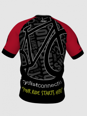 Podiumwear Men's V-Neck Tee (Nordic Skiing) Back View