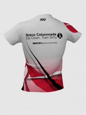 Podiumwear Women's V-Neck Tee (Nordic Skiing) Back View