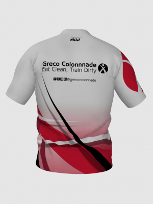 Podiumwear Men's V-Neck Tee (Nordic Skiing) Back View