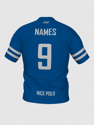 Podiumwear Men's V-Neck Tee (Nordic Skiing) Back View