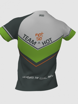 Podiumwear Women's V-Neck Tee (Nordic Skiing) Back View