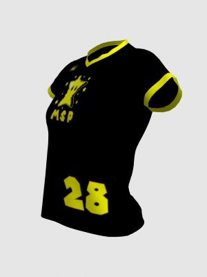Podiumwear Women's V-Neck Tee (Nordic Skiing) Side View