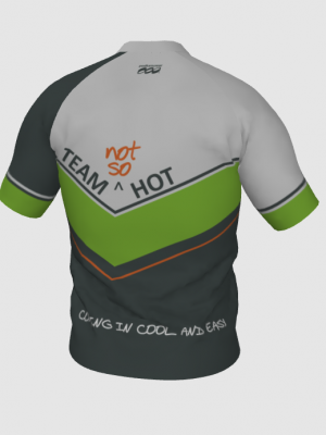 Podiumwear Men's V-Neck Tee (Nordic Skiing) Back View