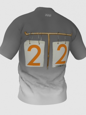 Podiumwear Men's V-Neck Tee (Nordic Skiing) Back View
