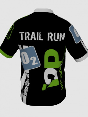 Podiumwear Men's V-Neck Tee (Nordic Skiing) Back View