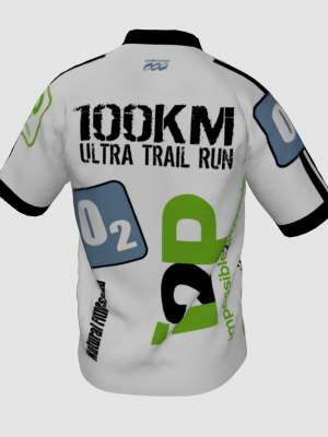 Podiumwear Men's V-Neck Tee (Nordic Skiing) Back View