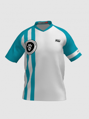 Podiumwear Men's V-Neck Tee (Nordic Skiing) Front View