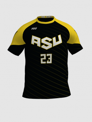 Podiumwear Men's V-Neck Tee (Nordic Skiing) Front View