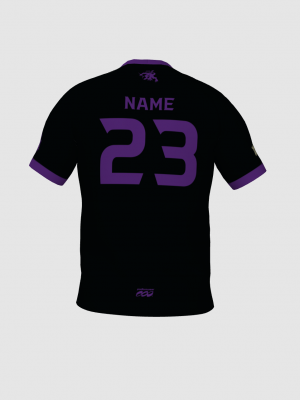 Podiumwear Men's V-Neck Tee (Nordic Skiing) Back View