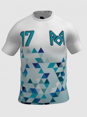 Podiumwear Men's V-Neck Tee - New Fabric 2025!