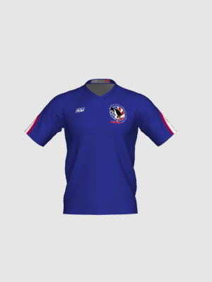 Podiumwear Men's V-Neck Tee - New Fabric 2025!