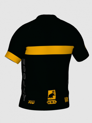 Podiumwear Men's V-Neck Tee - New Fabric 2025!