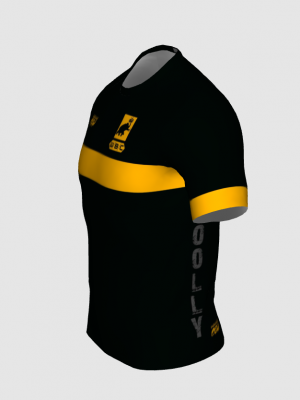 Podiumwear Men's V-Neck Tee - New Fabric 2025!