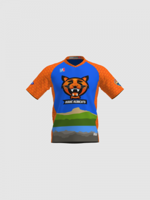 Podiumwear Men's V-Neck Tee - New Fabric 2025!