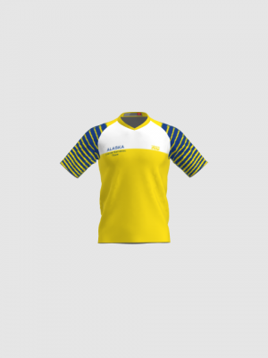 Podiumwear Men's V-Neck Tee - New Fabric 2025!