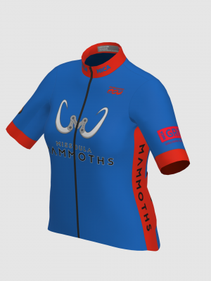 Podiumwear New Waffle Fabric for 2025!  Women's Bronze Jersey