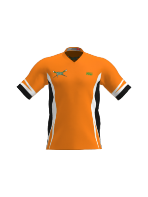 Podiumwear Men's V-Neck Tee - New Fabric 2025!