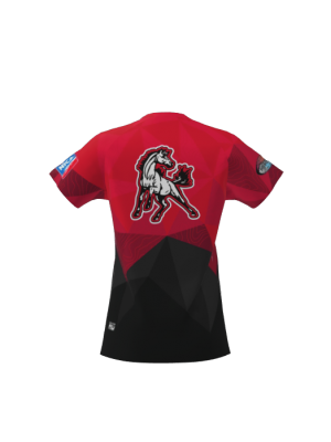 Podiumwear Women's Silver Short Sleeve MTB Jersey - NEW FABRIC 2025!