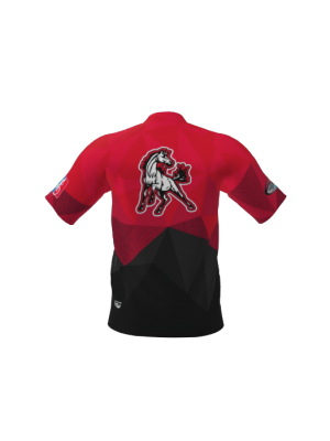 Podiumwear Men's Silver Short Sleeve MTB Jersey - New Fabric 2025!