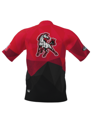 Podiumwear Men's Silver Short Sleeve MTB Jersey - New Fabric 2025!