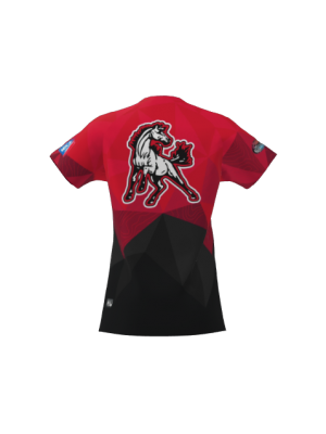 Podiumwear Women's Silver Short Sleeve MTB Jersey - NEW FABRIC 2025!