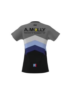 Podiumwear Women's Silver Short Sleeve MTB Jersey - NEW FABRIC 2025!