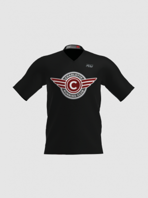 Podiumwear Men's V-Neck Tee - New Fabric 2025!