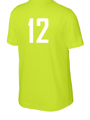 Podiumwear Unisex Youth 100% Poly Performance T-Shirt with Print