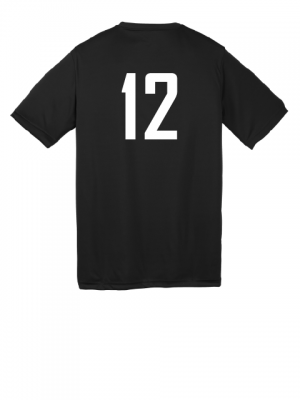 Podiumwear Unisex Youth 100% Poly Performance T-Shirt with Print