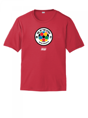 Podiumwear Men's 100% Poly Performance T-Shirt with Print