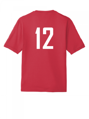 Podiumwear Men's 100% Poly Performance T-Shirt with Print