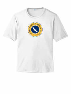 Podiumwear Men's 100% Poly Performance T-Shirt with Print