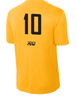 Podiumwear Men's 100% Poly Performance T-Shirt with Print
