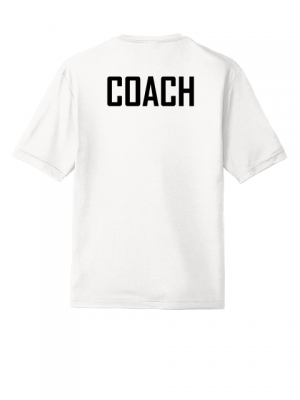 Podiumwear Men's 100% Poly Performance T-Shirt with Print