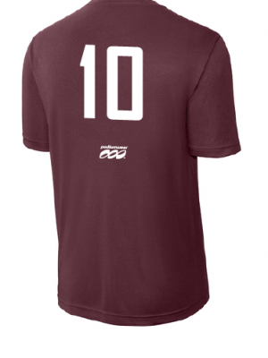 Podiumwear Men's 100% Poly Performance T-Shirt with Print