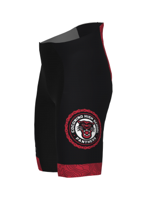 Podiumwear Men's Bronze Shorts