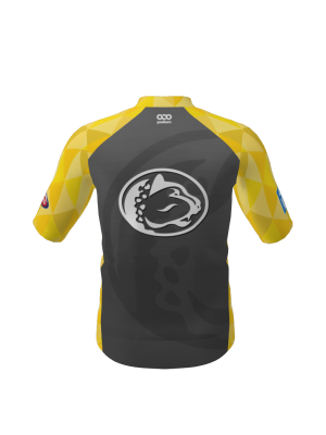 Podiumwear Men's Gold Full Zip Jersey