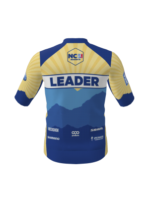 Podiumwear Men's Gold Full Zip Jersey (Cycling) Back View