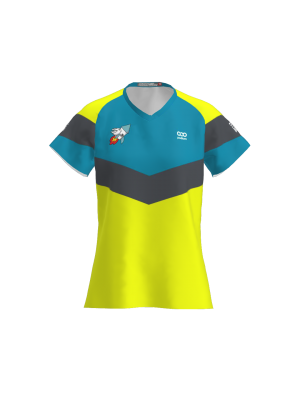 Podiumwear Women's V-Neck Tee (Nordic Skiing) Front View