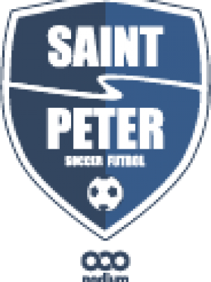 Podiumwear Men's 100% Poly Performance T-Shirt with Print (Soccer) Side View