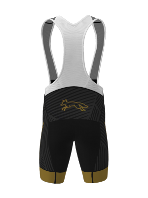 Podiumwear Men's Cycling Bibs (Cycling) Back View