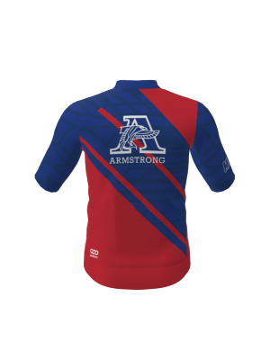Podiumwear Men's Gold Jersey (Cycling) Back View