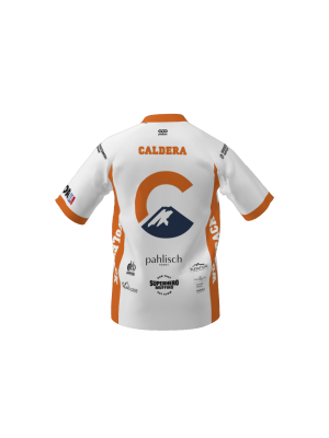 Podiumwear Men's Silver Short Sleeve MTB Jersey (Cycling) Back View