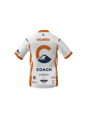 Podiumwear Men's Silver Short Sleeve MTB Jersey (Cycling) Back View