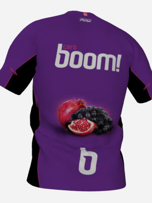 Podiumwear Men's V-Neck Tee (Nordic Skiing) Back View