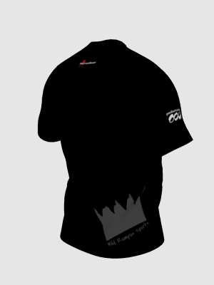 Podiumwear Men's V-Neck Tee (Nordic Skiing) Side View