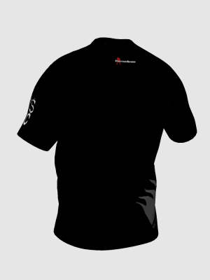 Podiumwear Men's V-Neck Tee (Nordic Skiing) Back View