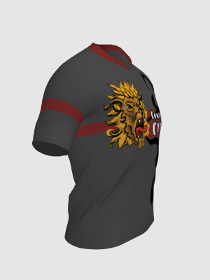 Podiumwear Men's V-Neck Tee (Nordic Skiing) Side View